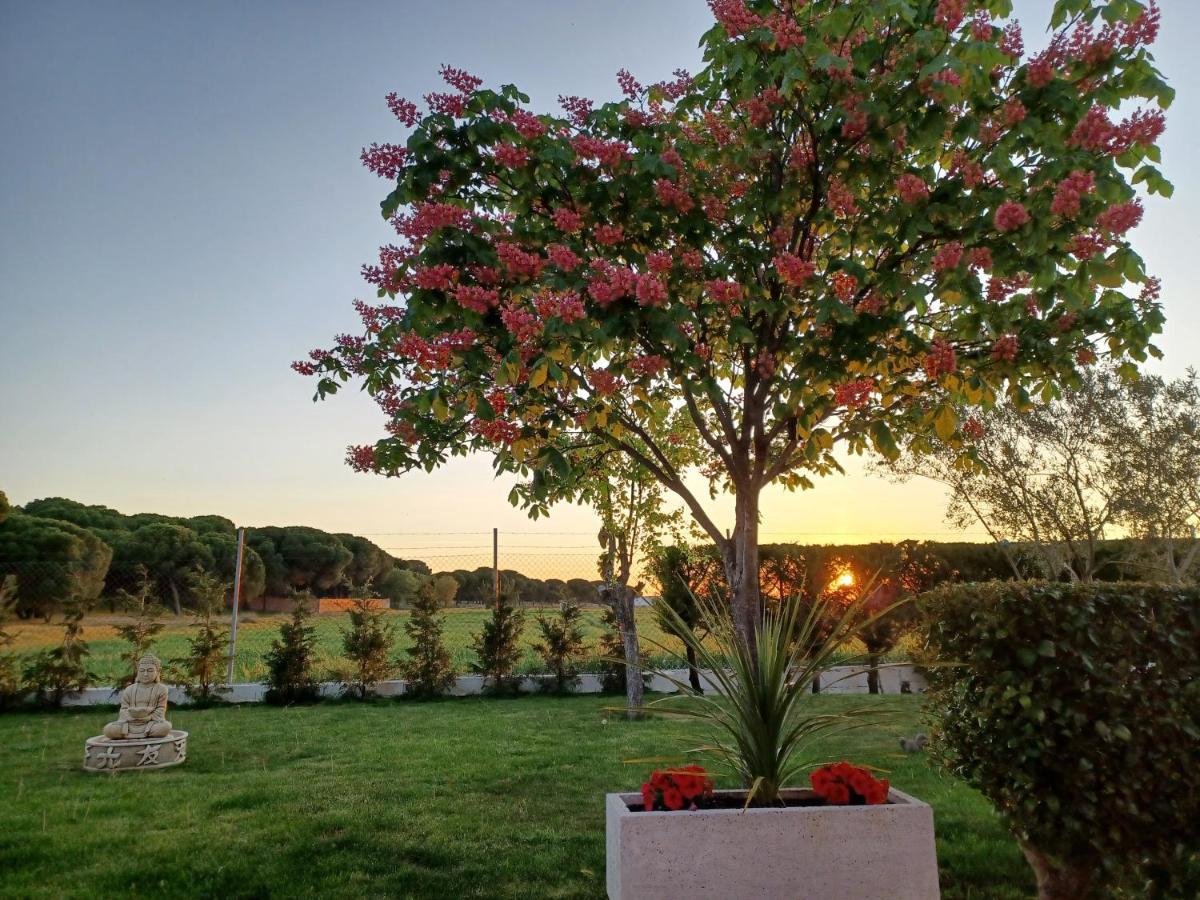 La Espiga Villa Valladolid Eksteriør bilde