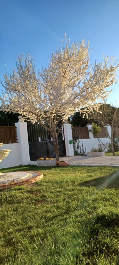 La Espiga Villa Valladolid Eksteriør bilde